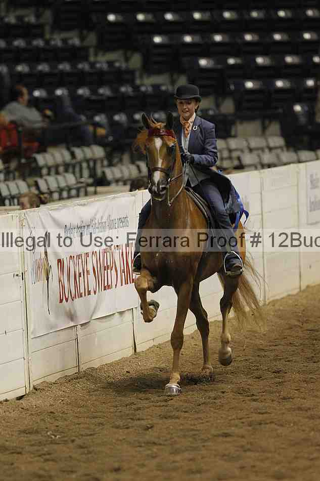 Proof Number 12buck_3775