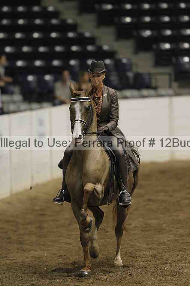 Proof Number 12buck_3828