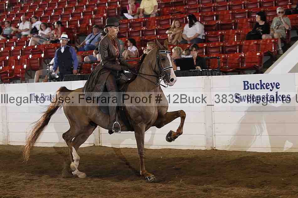 Proof Number 12buck_3835