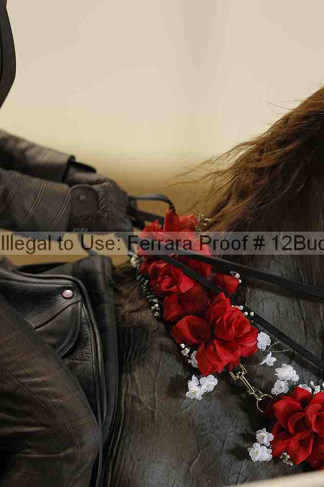 Proof Number 12buck_3885