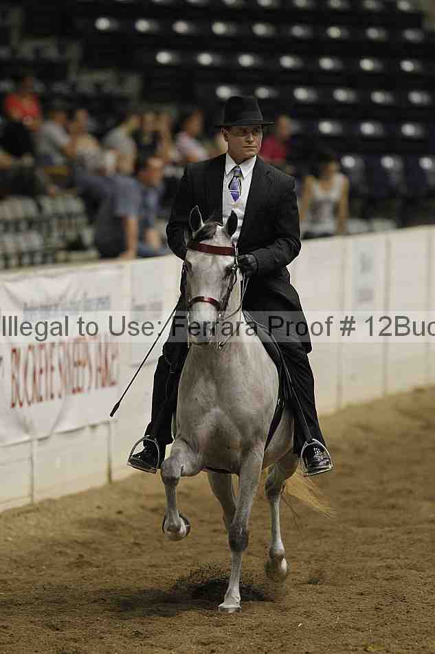 Proof Number 12buck_3940