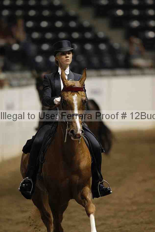 Proof Number 12buck_4105