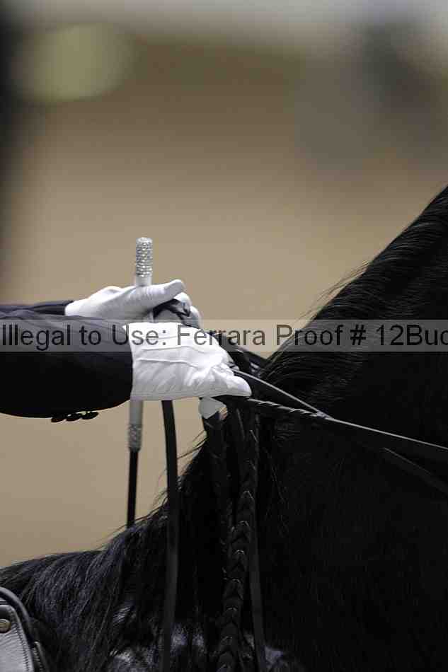 Proof Number 12buck_4120