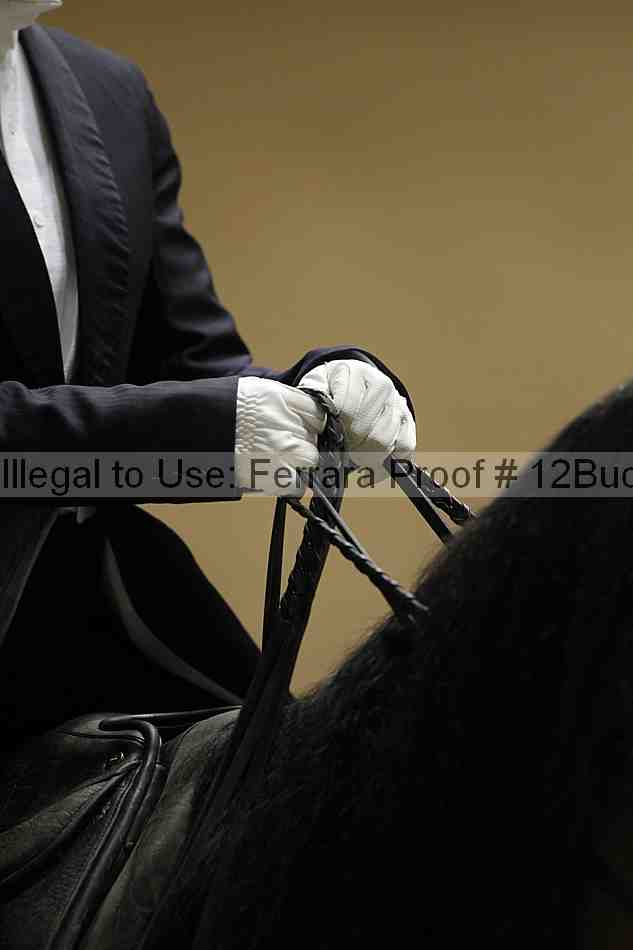 Proof Number 12buck_4121
