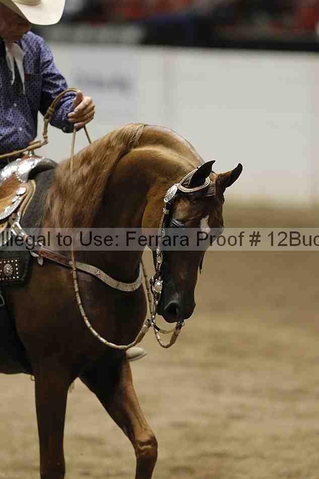 Proof Number 12buck_4190