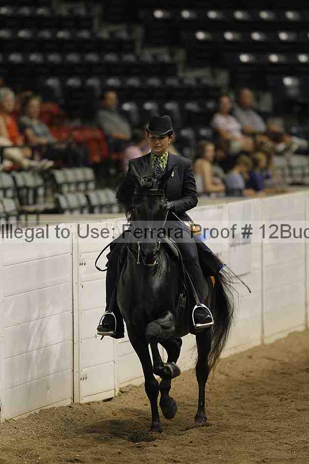 Proof Number 12buck_4283
