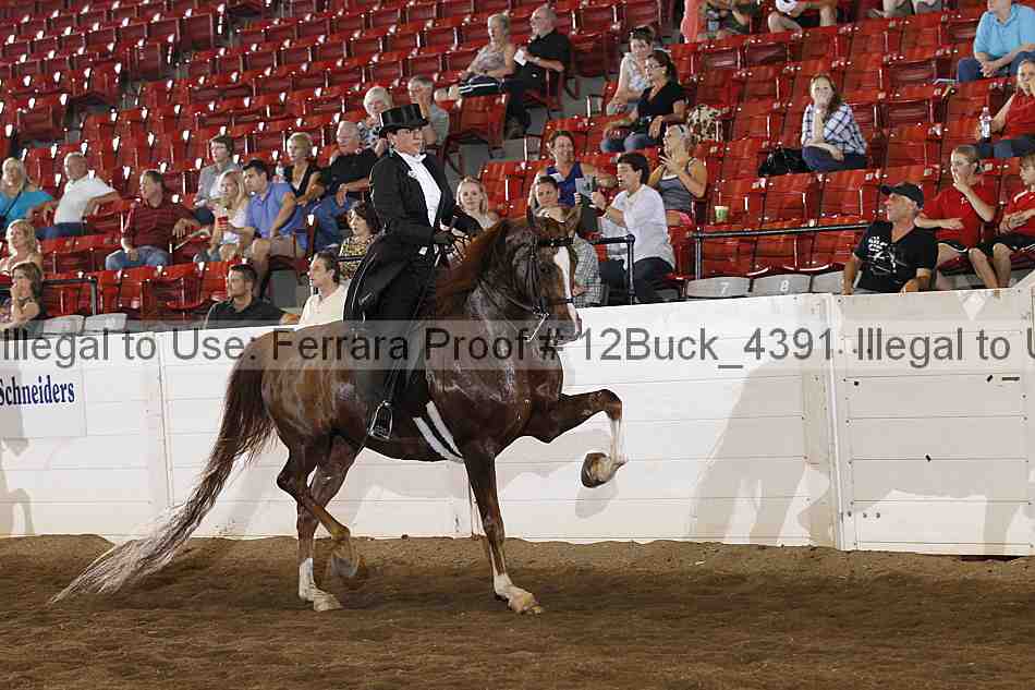 Proof Number 12buck_4391