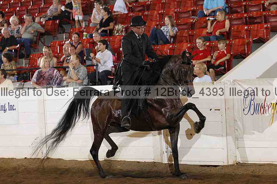 Proof Number 12buck_4393
