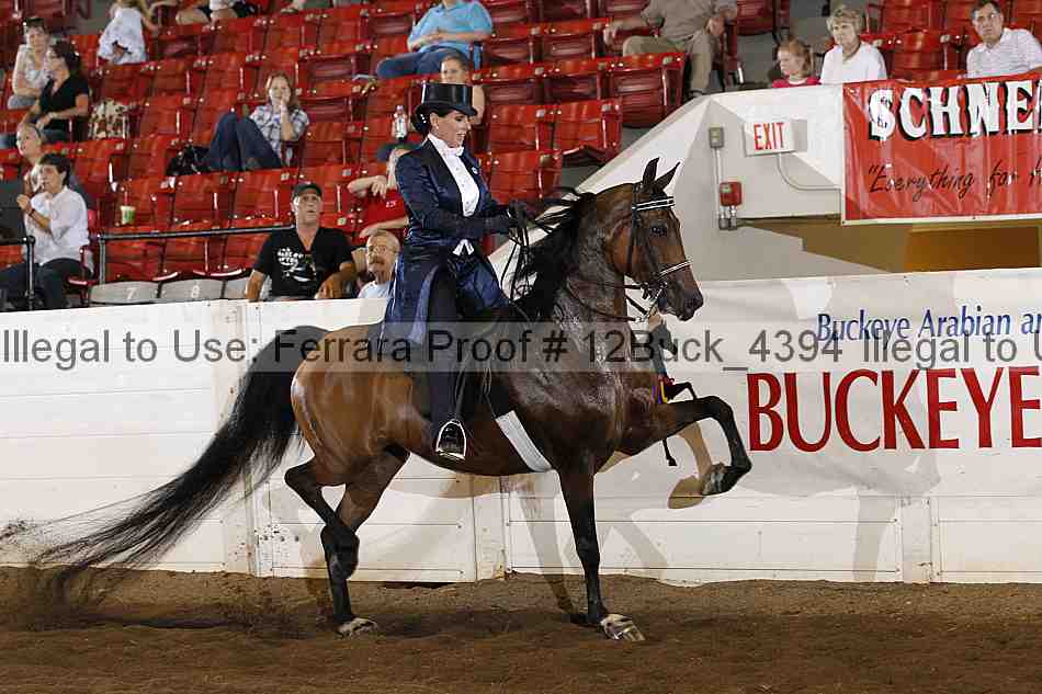 Proof Number 12buck_4394