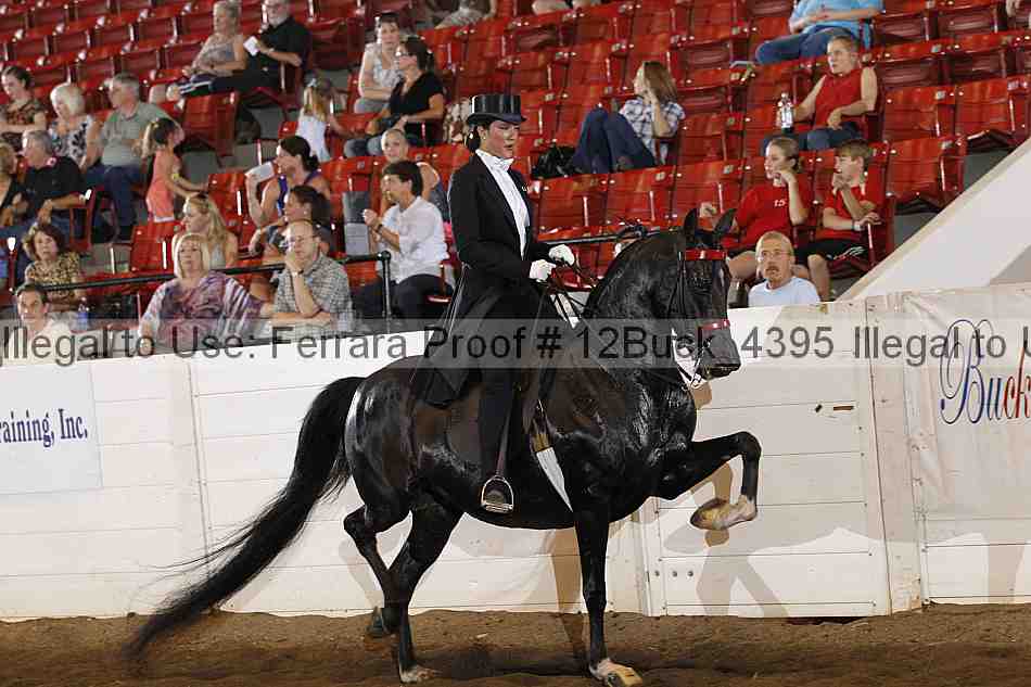 Proof Number 12buck_4395