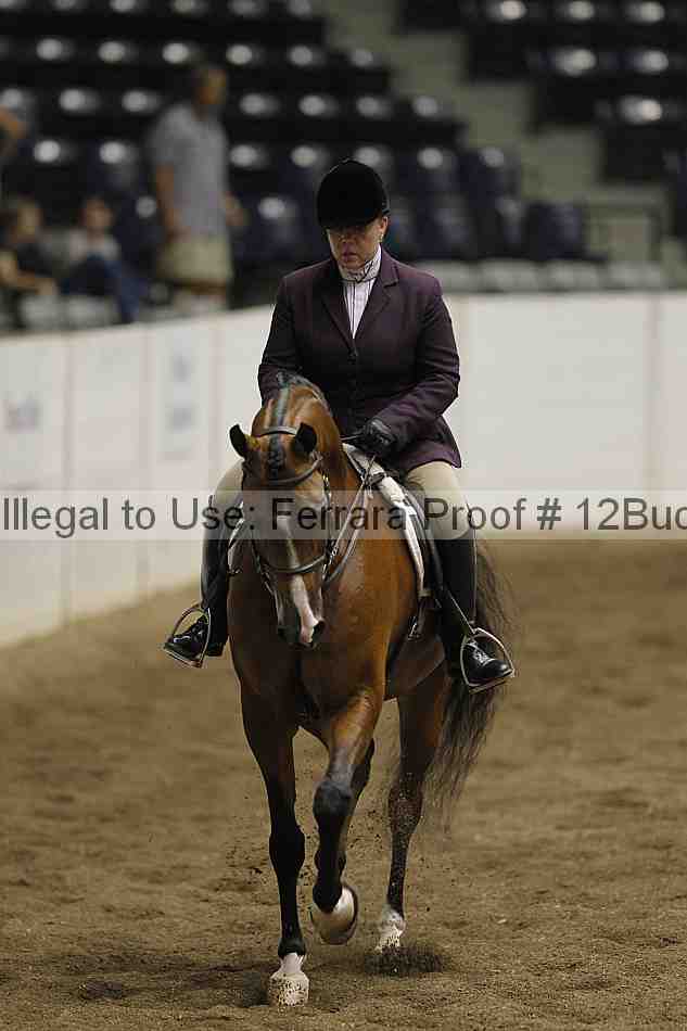 Proof Number 12buck_6327