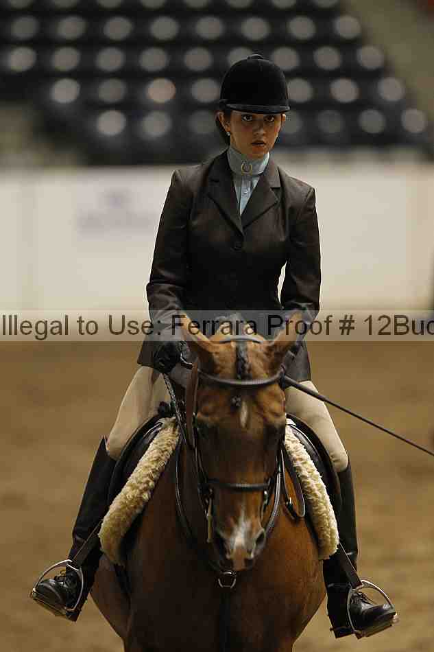 Proof Number 12buck_6345