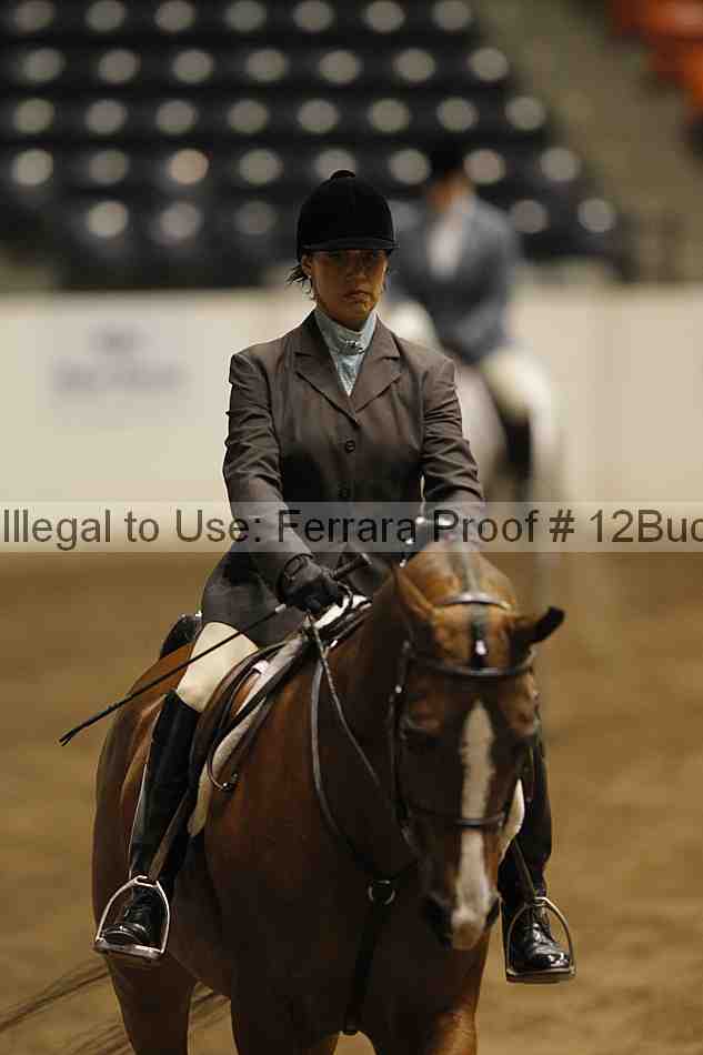 Proof Number 12buck_6355