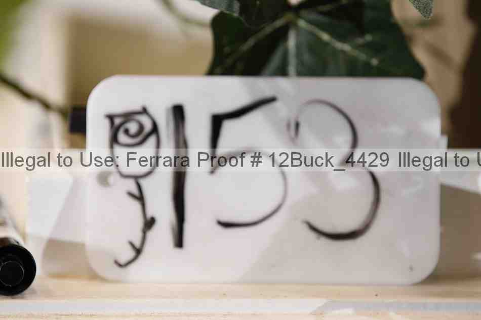 Proof Number 12buck_4429