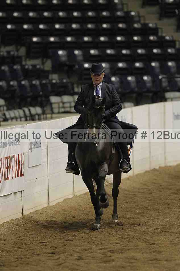 Proof Number 12buck_4495