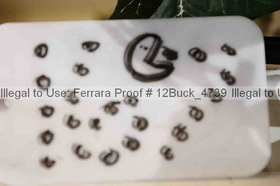Proof Number 12buck_4739