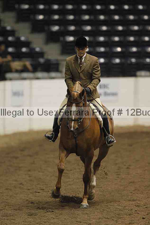 Proof Number 12buck_4750