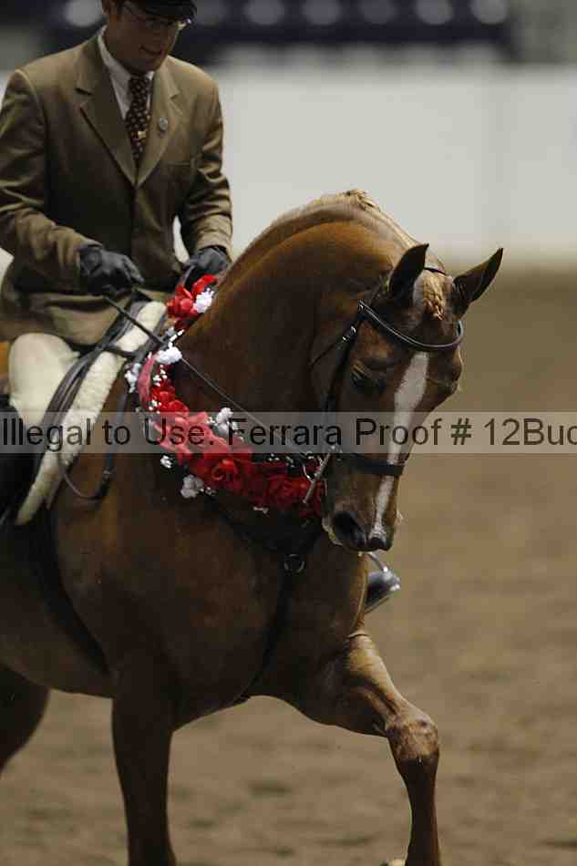 Proof Number 12buck_4792