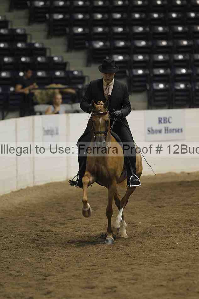 Proof Number 12buck_4841
