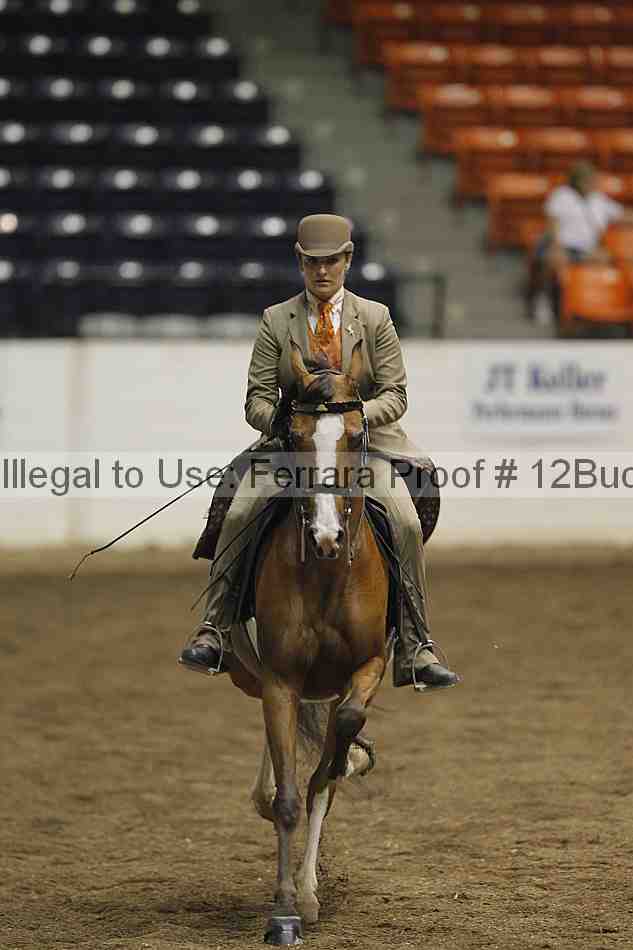 Proof Number 12buck_4936
