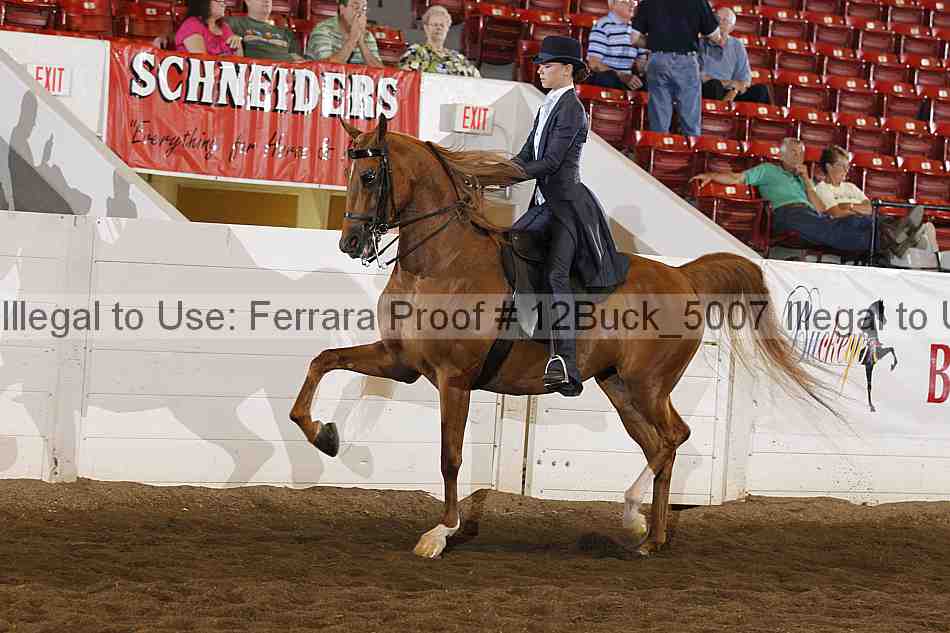 Proof Number 12buck_5007