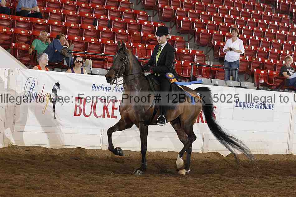 Proof Number 12buck_5025