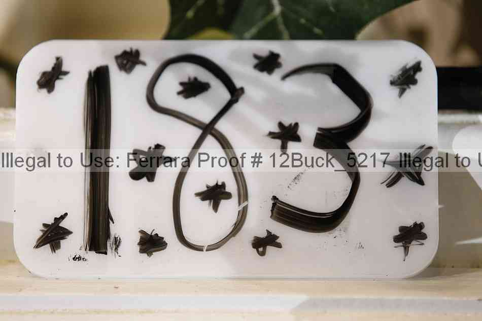 Proof Number 12buck_5217