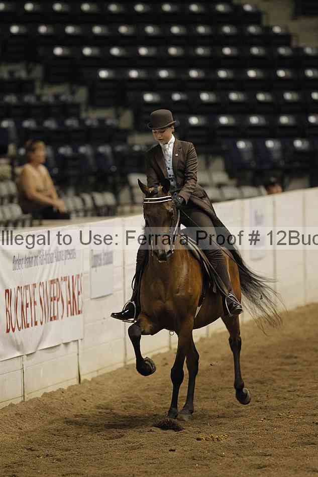 Proof Number 12buck_5226