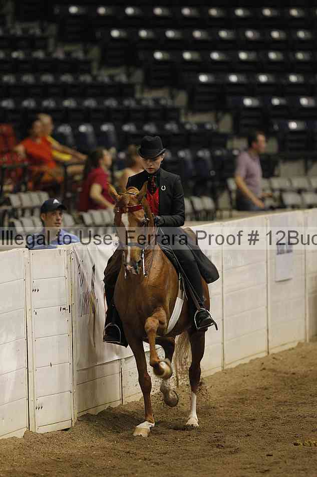 Proof Number 12buck_5237