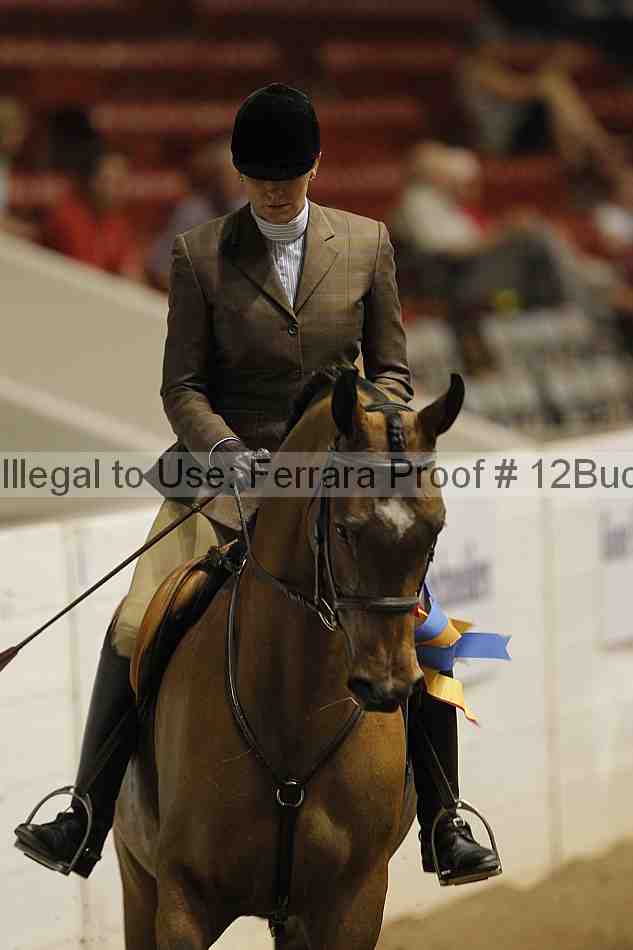 Proof Number 12buck_5379