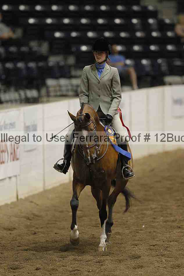Proof Number 12buck_5547
