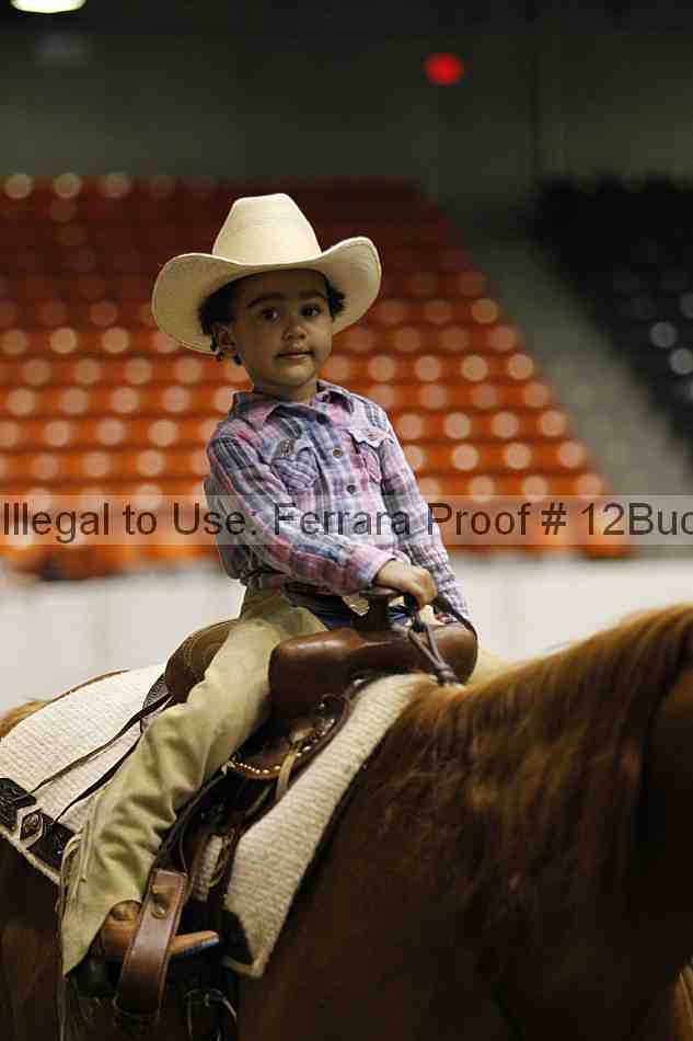 Proof Number 12buck_5636