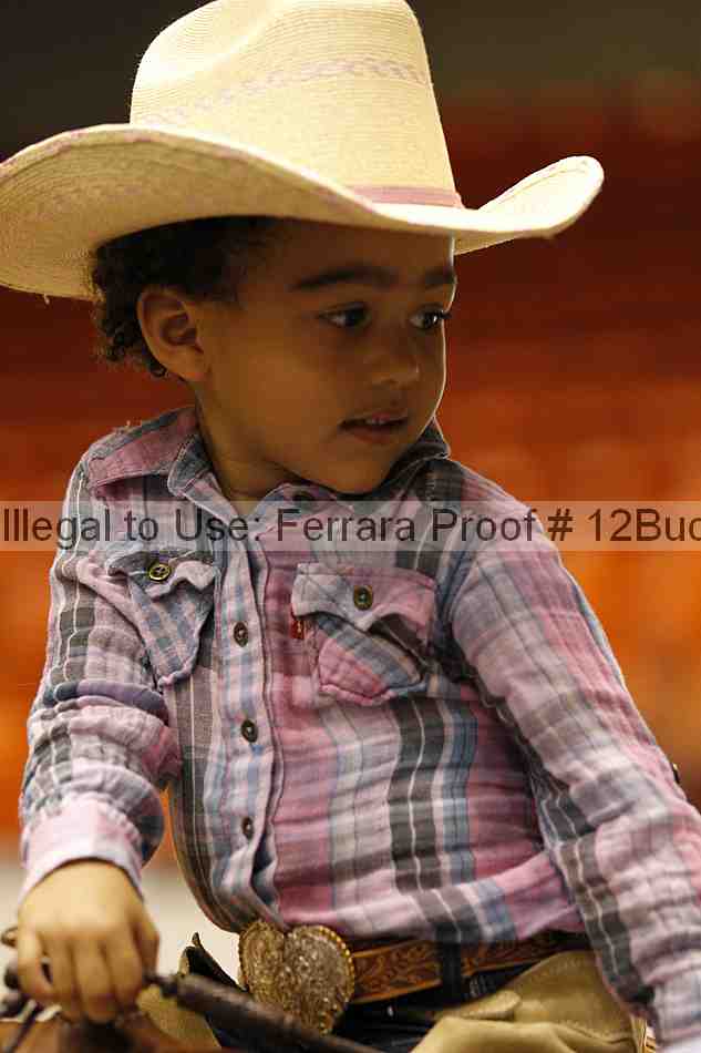 Proof Number 12buck_5676