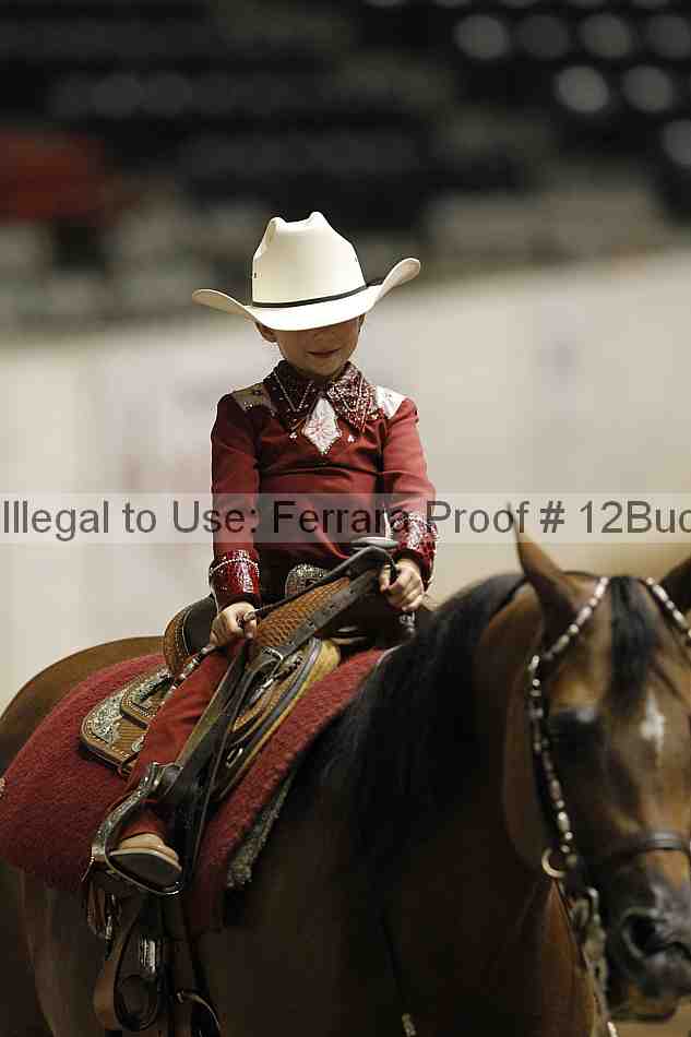 Proof Number 12buck_5704