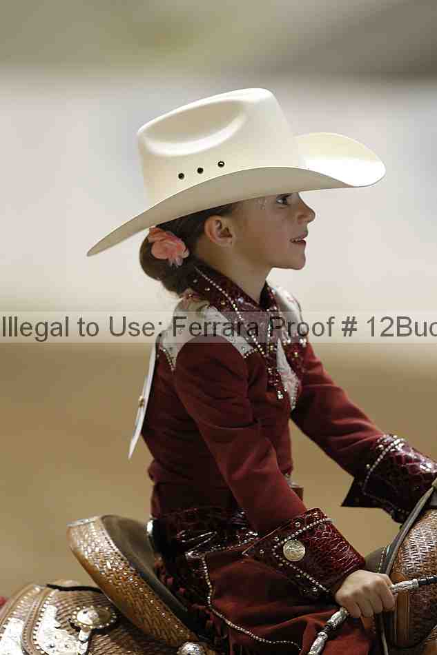 Proof Number 12buck_5708