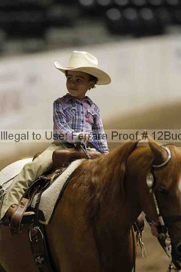 Proof Number 12buck_5734