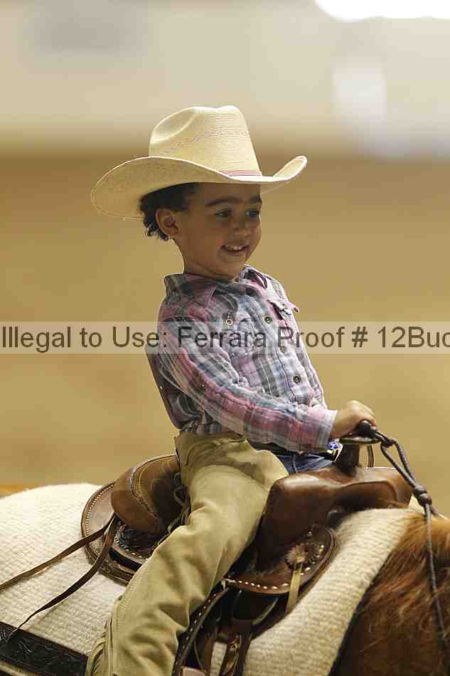 Proof Number 12buck_5738