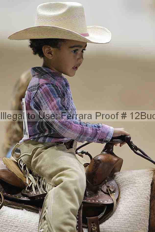 Proof Number 12buck_5739