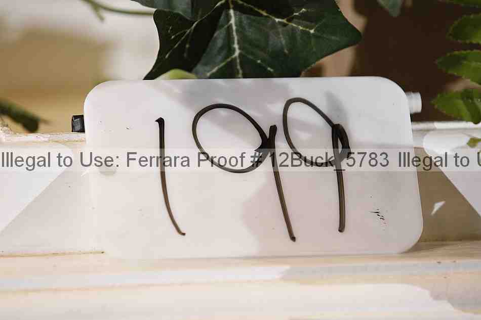 Proof Number 12buck_5783