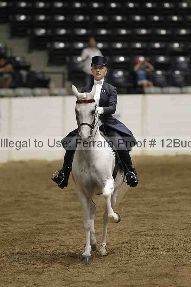Proof Number 12buck_5819