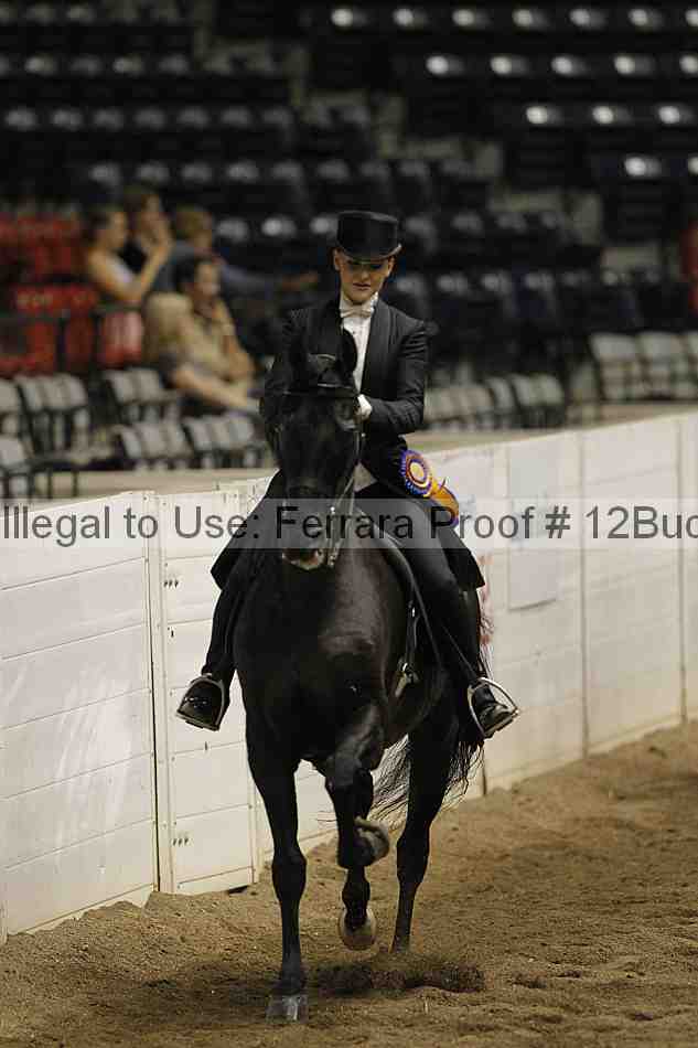 Proof Number 12buck_5882
