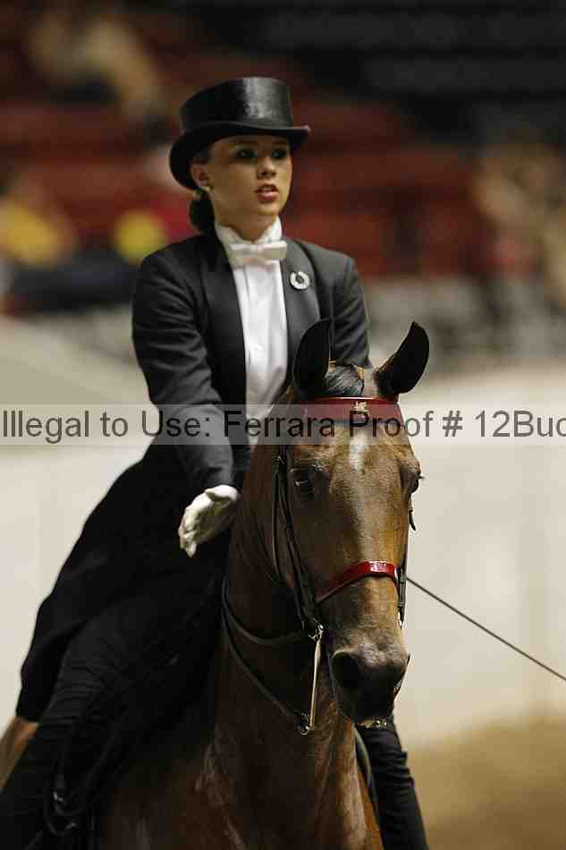 Proof Number 12buck_5890