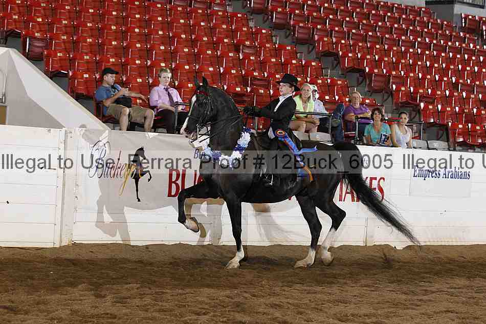 Proof Number 12buck_6005