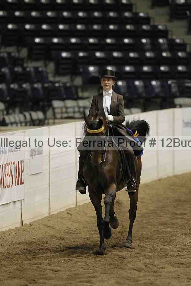 Proof Number 12buck_6058
