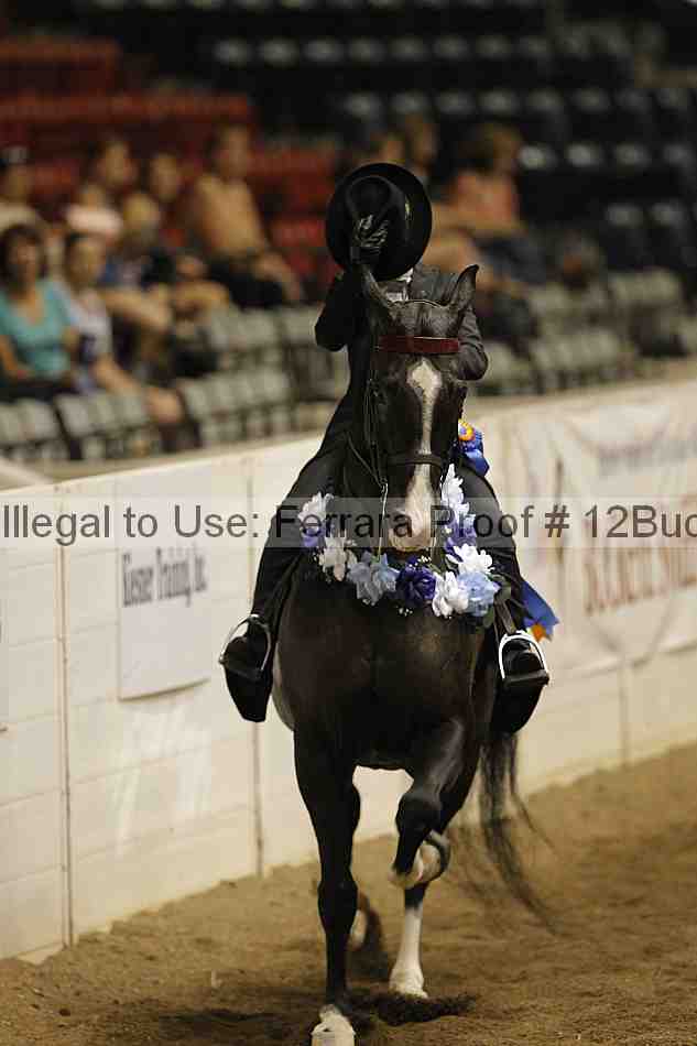 Proof Number 12buck_6075