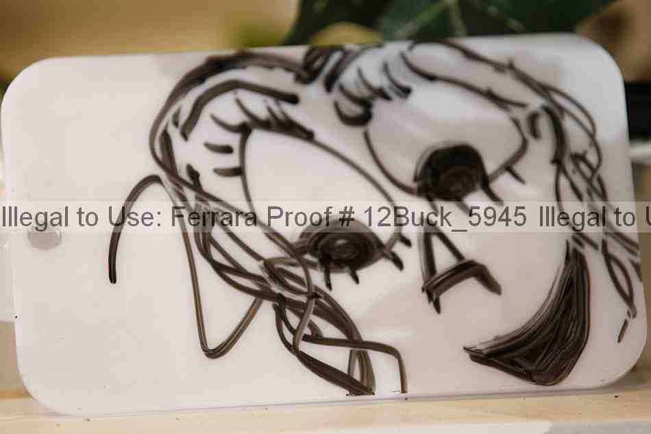Proof Number 12buck_5945
