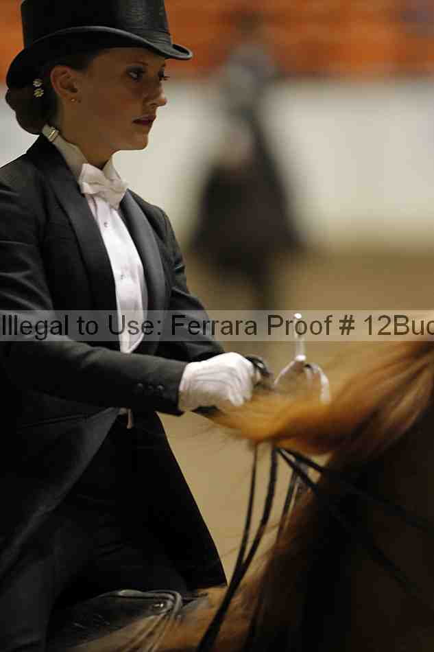 Proof Number 12buck_5967