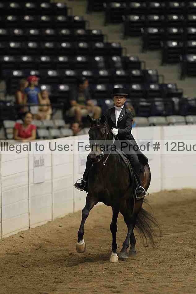Proof Number 12buck_5968