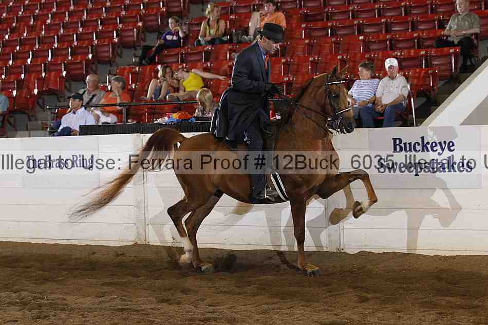 Proof Number 12buck_6035