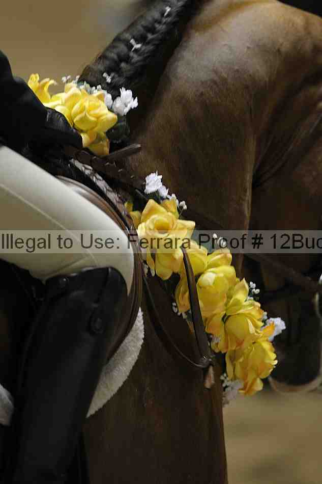 Proof Number 12buck_6102